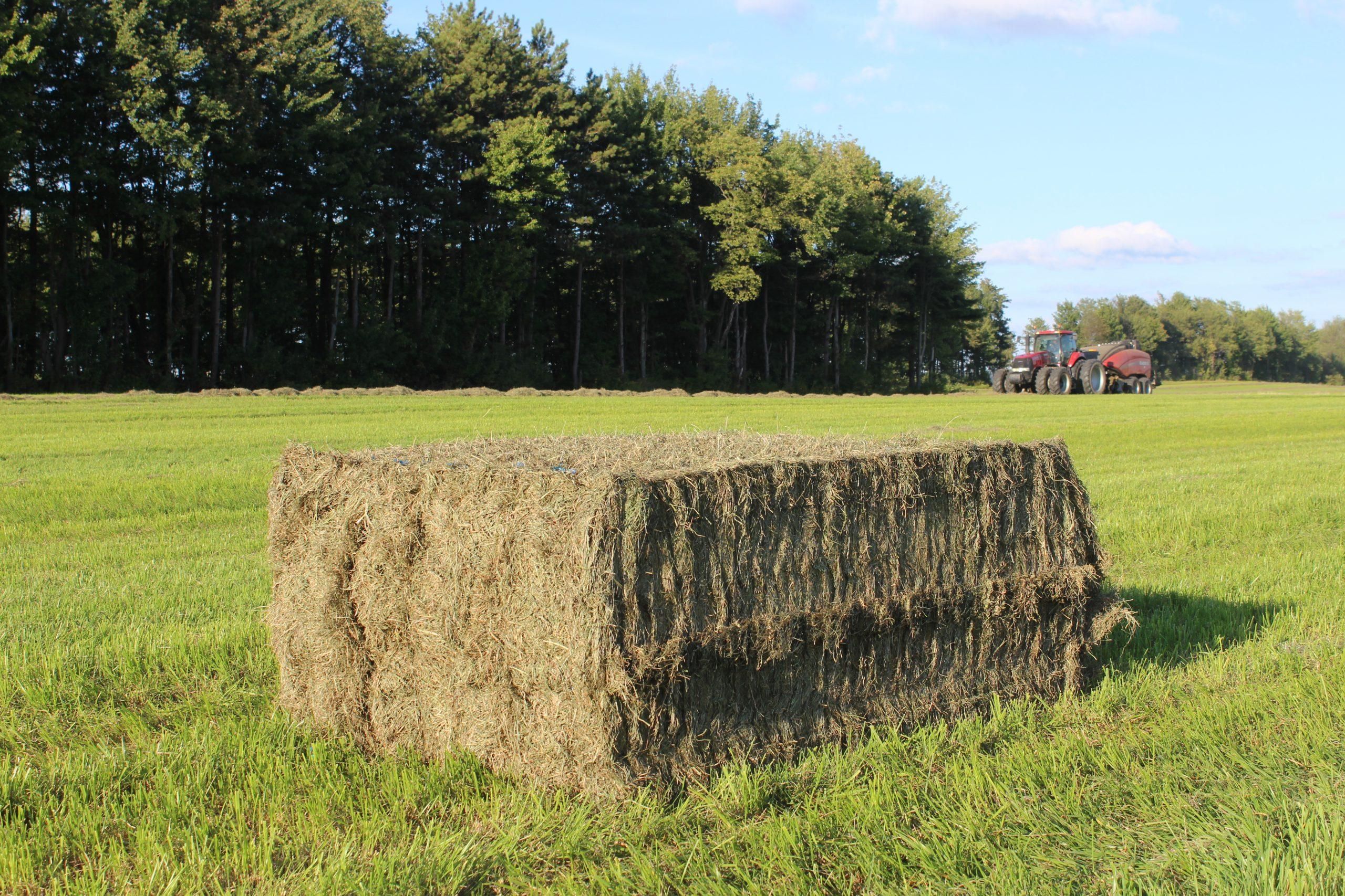 Stefan Hay bundle of hay in field