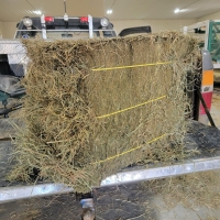Single Bales (Large and Small)