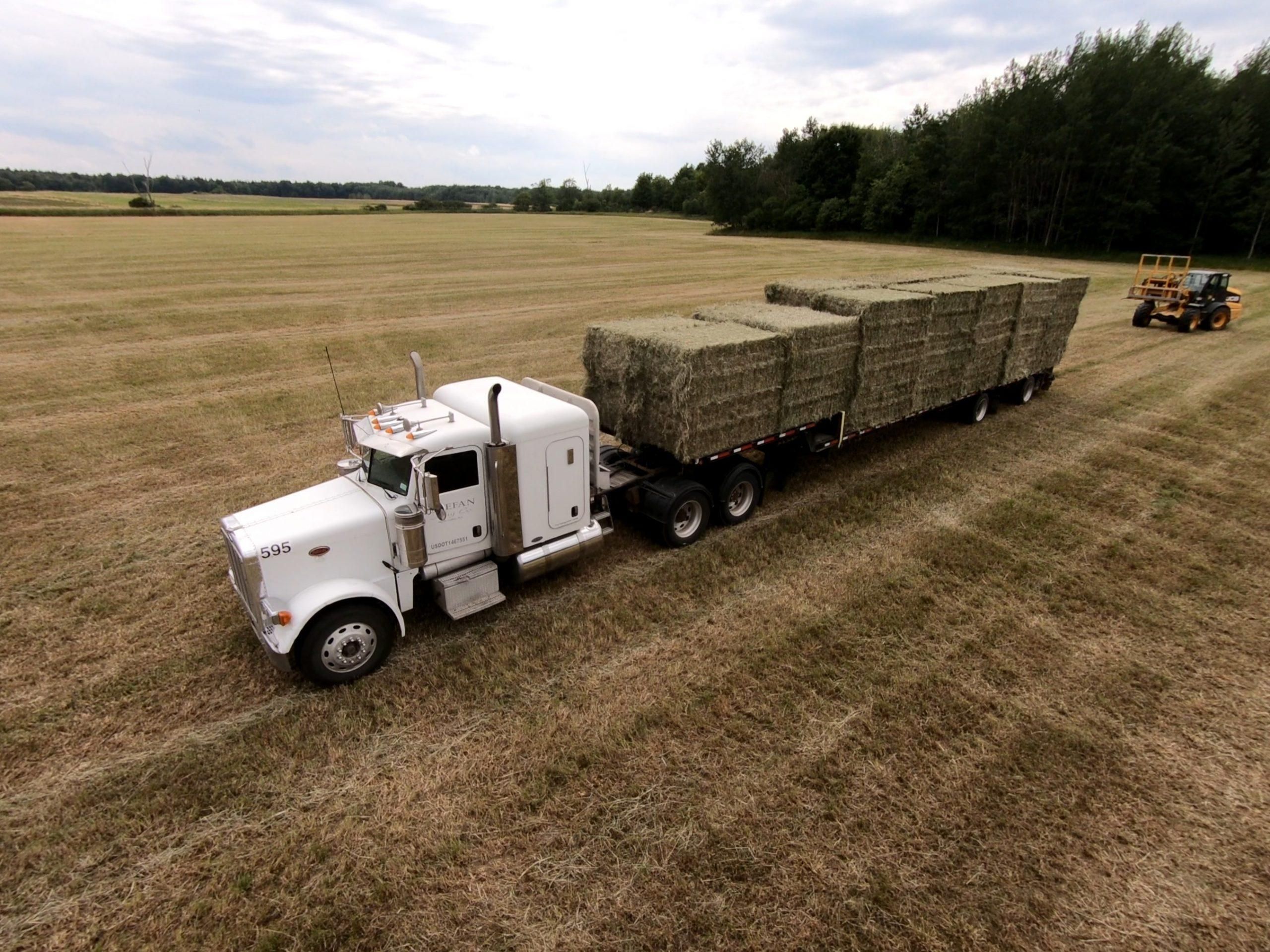 Trucks carrying hay bundles