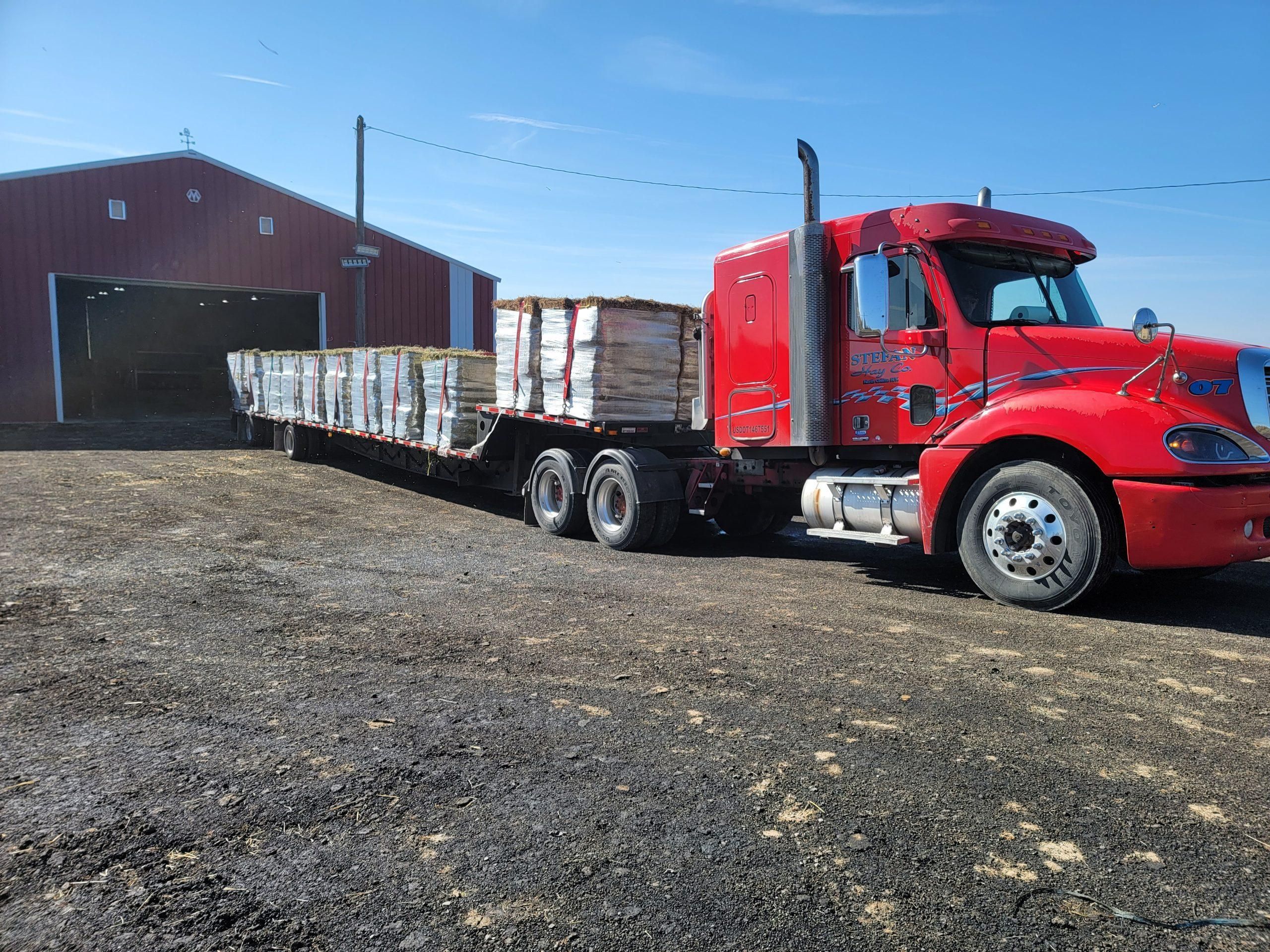 Stefan Hay co truck ready for delivery, loaded hay bales