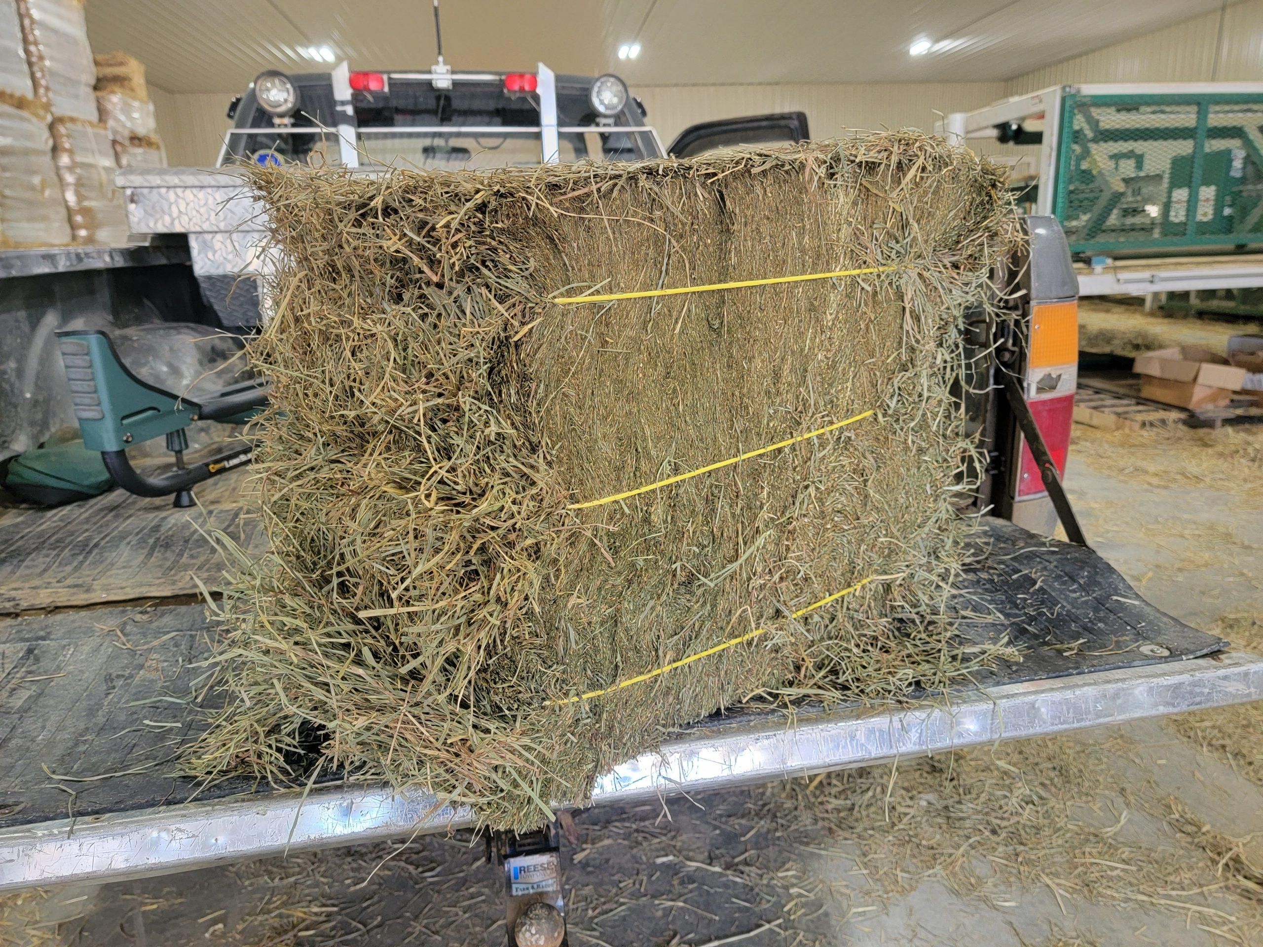 Large Hay Bale packaged and ready to load